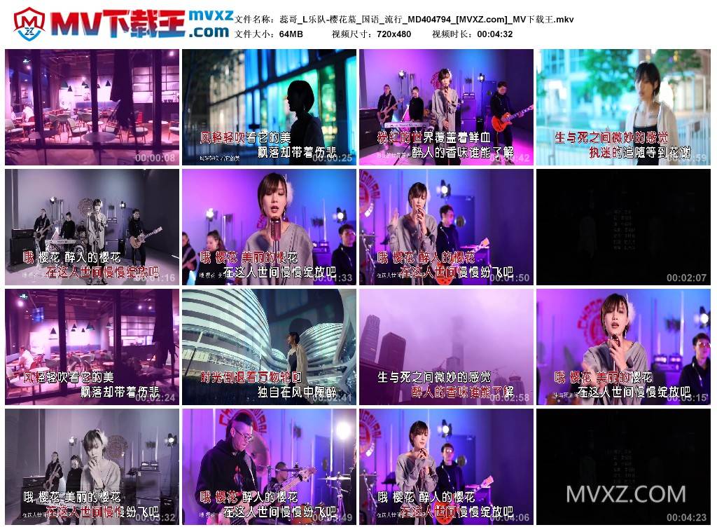 蕊哥_L乐队-樱花墓_国语_流行_MD404794